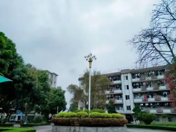 广州卫生职业技术学院是什么学历类别(广州卫生职业技术学院是大专吗)插图26