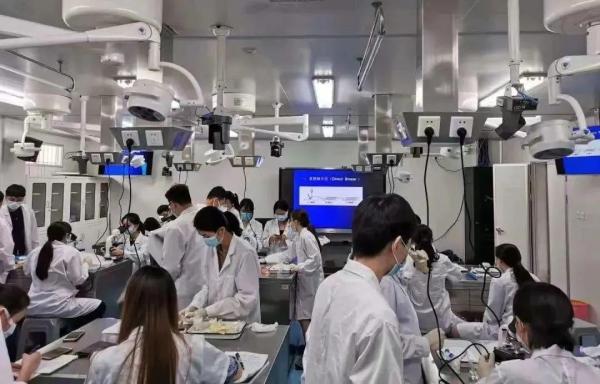 广东科贸职业学院在哪里地图(广东科贸职业学院在哪个校区)插图74