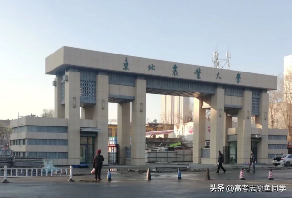 东北师范大学是985211么(东北师范大学是958还是211)插图4