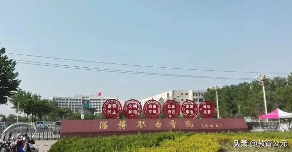 中国高等职业学校排名(中国高等职业技术学院排行榜)插图11