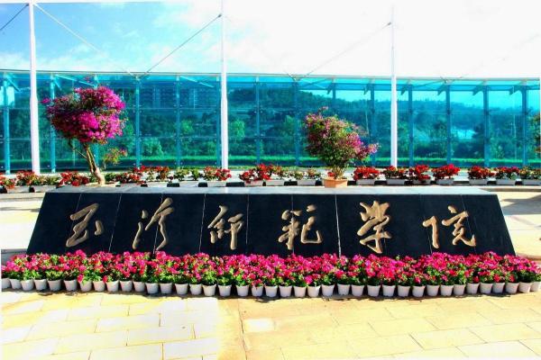 400分能上本科大学吗河南(400分在河南能上什么大专)插图5