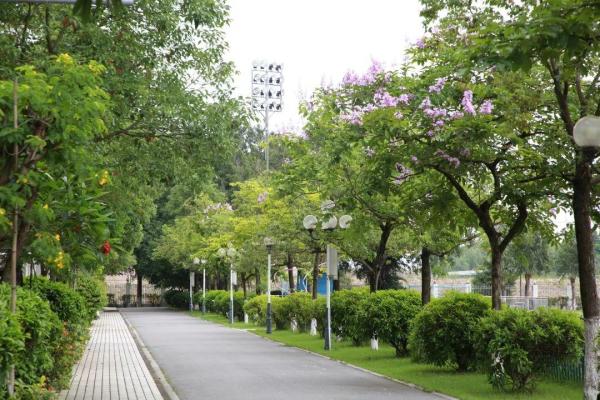 广东女子职业技术学院学什么的(广东女子职业技术学院是大学吗)插图7