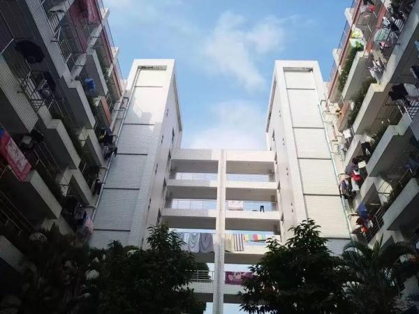 广东女子职业技术学院学什么的(广东女子职业技术学院是大学吗)插图16