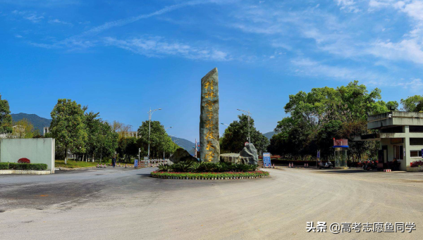 一本分数能上什么大学(一本分数线报考啥学校好)插图4