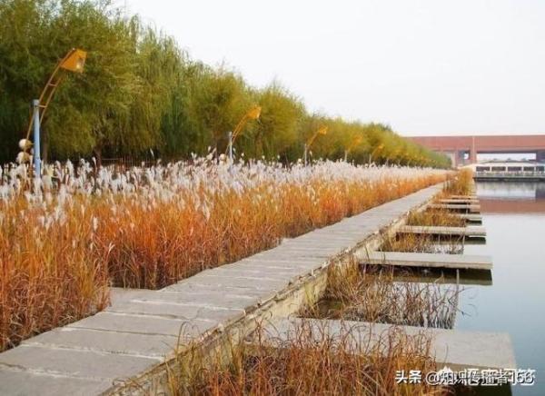 大连二本大学有哪些学校(大连的二本大学排名一览表)插图