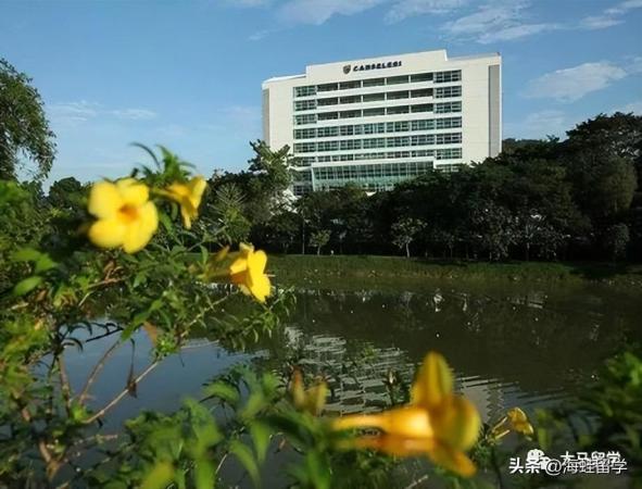 um大学马来西亚(马来西亚ums是哪个大学)插图2