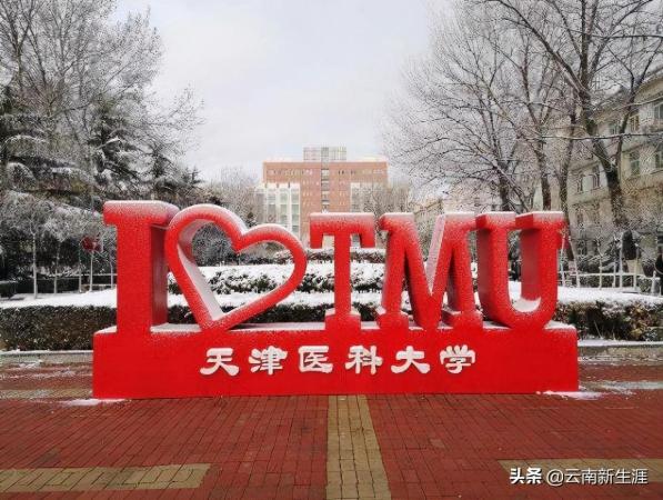 天津理工大学算一本么(天津理工大学是不是一本)插图5