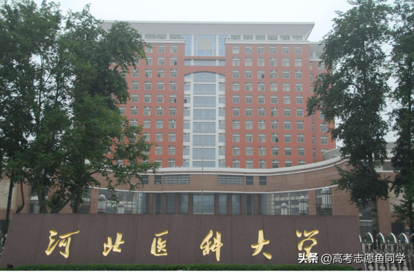 临床医学专业哪个大学排名最厉害(临床医学专业最好的大学是哪个)插图3