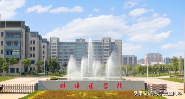 临床医学录取分数线最低的大学(临床医学收分低的学校)插图
