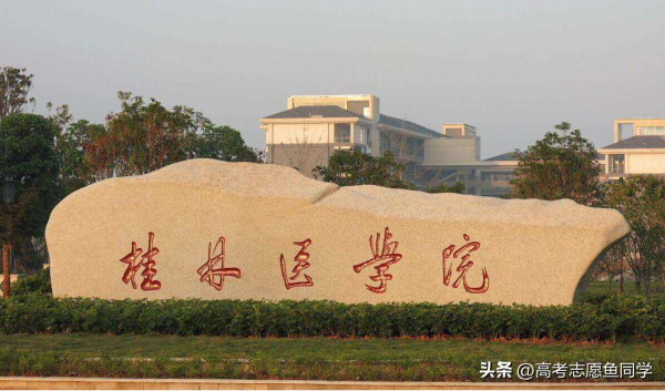 临床医学录取分数线最低的大学(临床医学收分低的学校)插图3