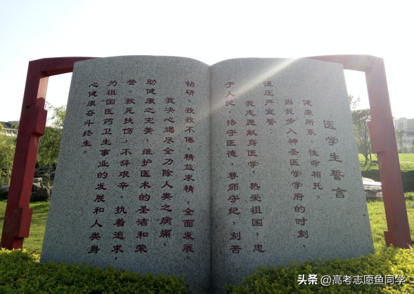 临床医学录取分数线最低的大学(临床医学收分低的学校)插图5