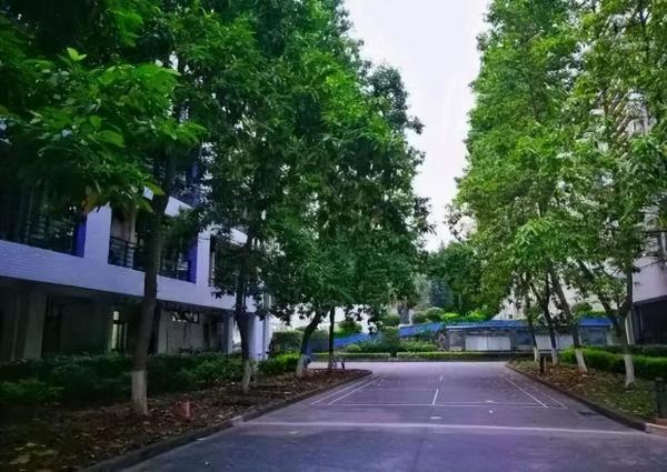 广东司法警官职业学院是大专还是本科(广东司法警官职业学院是什么学历)插图11