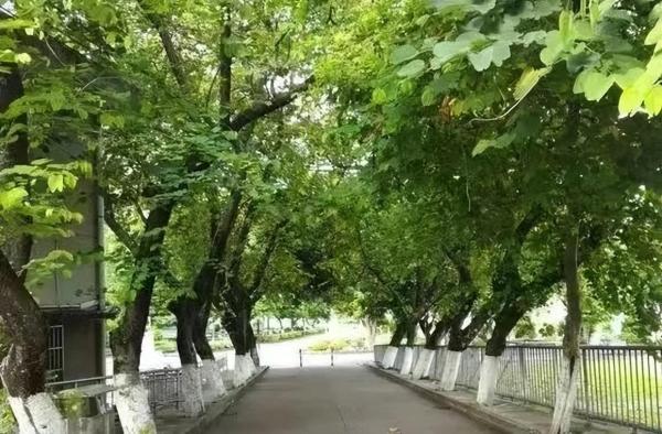 广东司法警官职业学院是大专还是本科(广东司法警官职业学院是什么学历)插图18