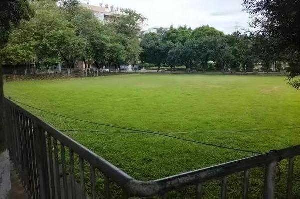 广东司法警官职业学院是大专还是本科(广东司法警官职业学院是什么学历)插图19