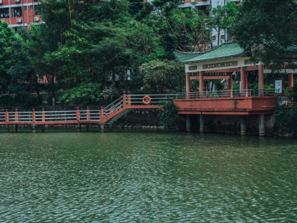 广东江门中医药职业技术学院在哪里(广东江门中医药职业学院位置)插图16