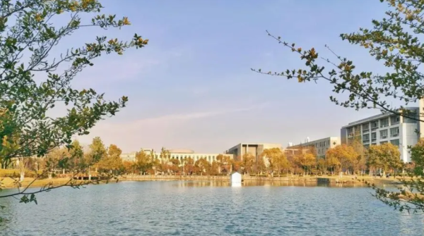 安徽的大学排名一览表一本(安徽有多少大学是一本)插图3