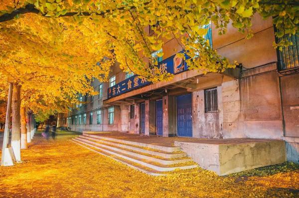 兰州大学会降级吗知乎(兰州大学降级管理办法)插图2