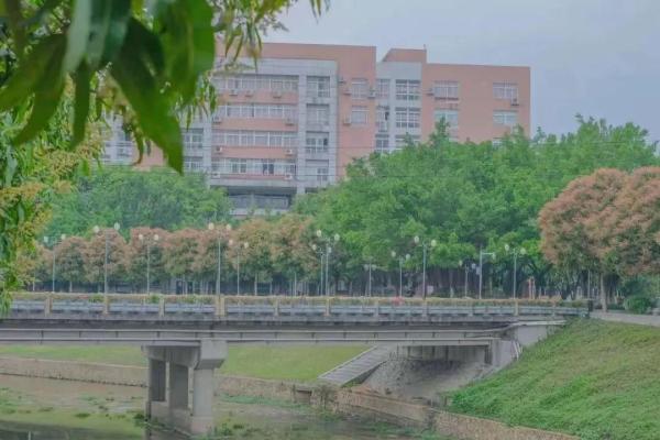 广州城建职业学院是大专还是高职(广州城建职业学院是技校还是中职)插图3