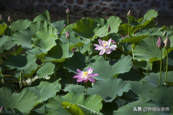 中原工学院在全国实力如何(中原工学院是名校吗)插图4