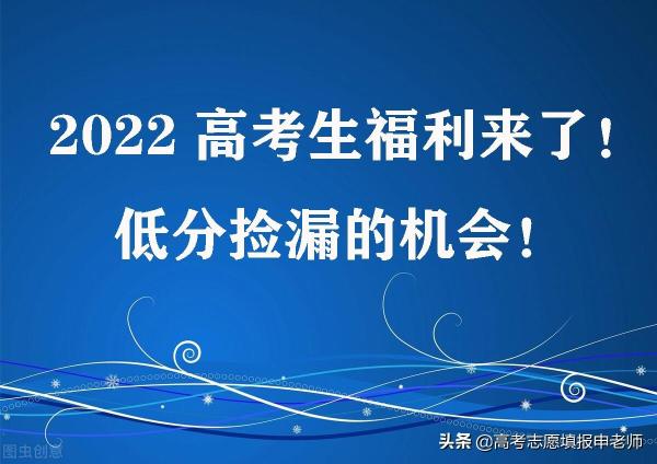 公办的职业技术学院有哪些(公办职业技术学校好不好)插图