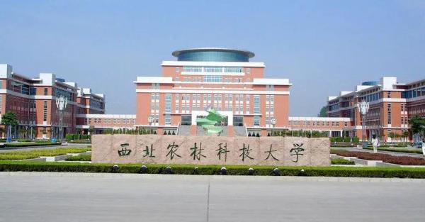 五道口有哪些211(五道口大学又叫什么)插图29