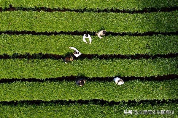华中农业大学在武汉地位(武汉华中农业大学好吗)插图9