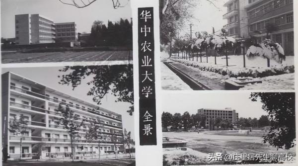 华中农业大学在武汉地位(武汉华中农业大学好吗)插图10