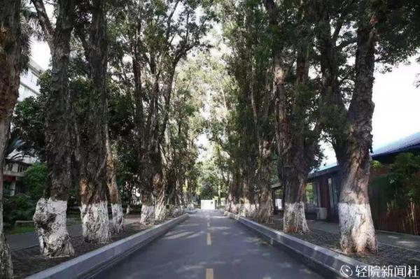 广东轻工职业技术学院很厉害吗(广东轻工职业学院怎么样)插图18