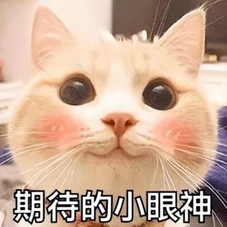 广东轻工职业技术学院很厉害吗(广东轻工职业学院怎么样)插图42