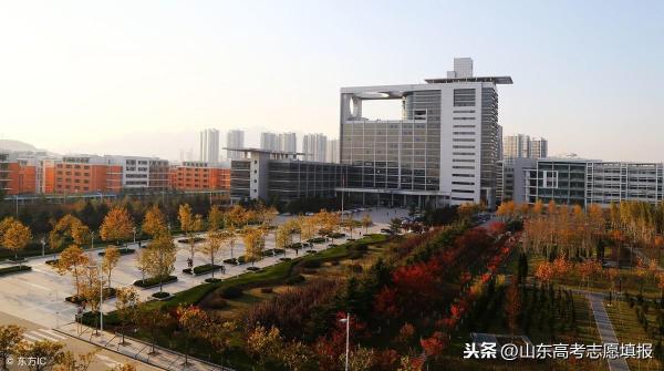 山东科技大学校训是啥(山东科技大学校徽)插图2