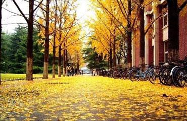 交通工程类大学排名(交通工程全国学校排名)插图