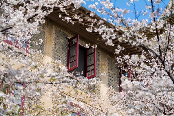 中关村文理学院怎么样(中关村文理学院是几本学校啊)插图4