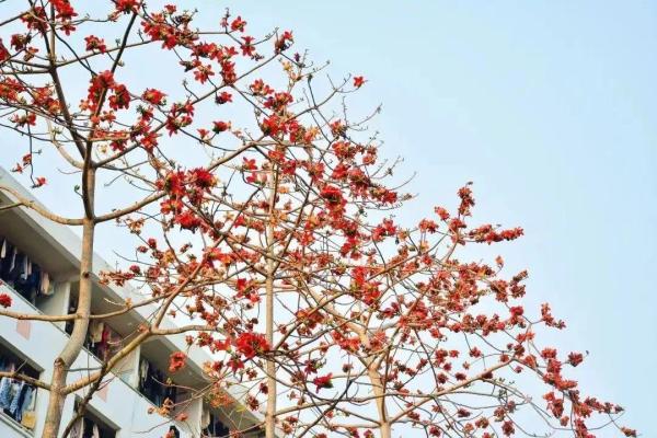 揭阳职业技术学院是公办吗(揭阳职业技术学校排名第几)插图18