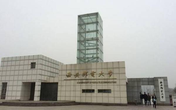 什么狗适合女人养晚上用(好男不养猫的真正原因)插图