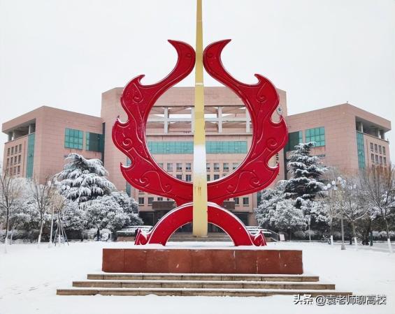山东省比较好的二本(山东省最好的二本院校)插图12