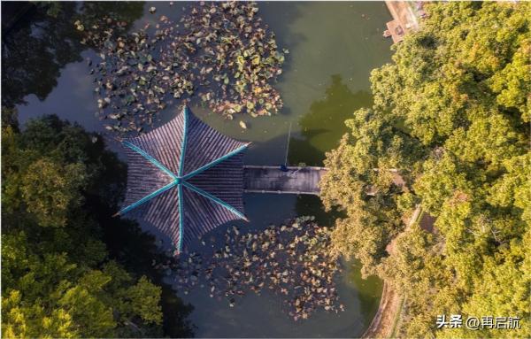 596分理科可以考什么大学(596分可以考什么大学理科)插图1