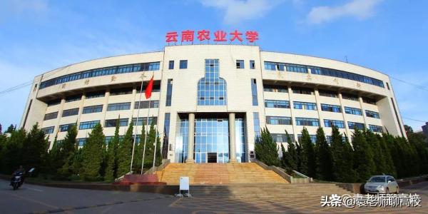 云南财经大学是211(云南财经是几本学校)插图7