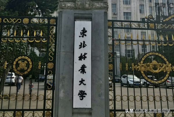 4所垃圾985(985大学排名一览表)插图