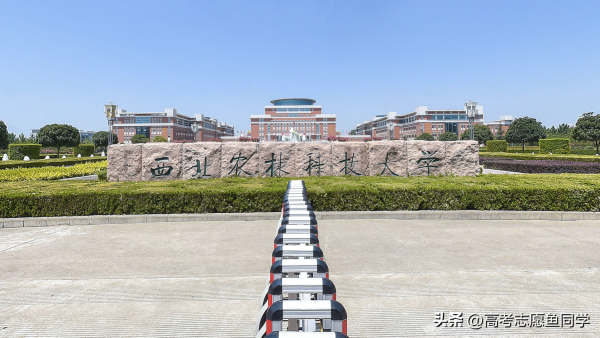 4所垃圾985(985大学排名一览表)插图1