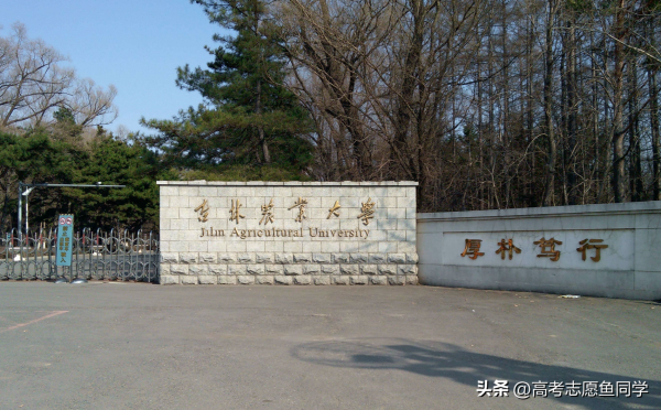 4所垃圾985(985大学排名一览表)插图2