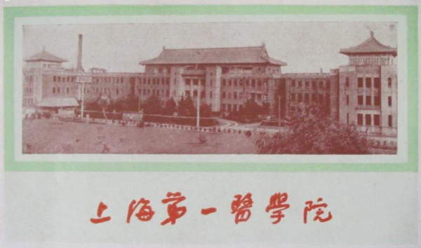 上海农业大学是几本(上海农业大学是211吗)插图22