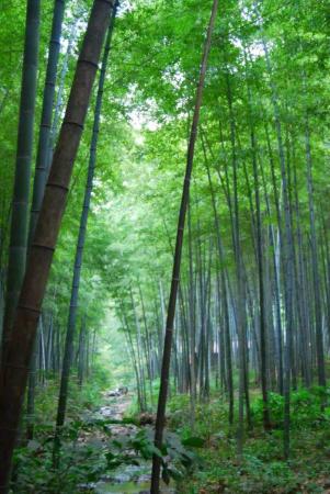为什么说千万别来常州大学,高校真的很渣吗知乎(常州大学被认可吗)插图14