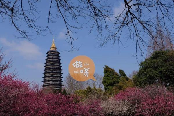 为什么说千万别来常州大学,高校真的很渣吗知乎(常州大学被认可吗)插图27