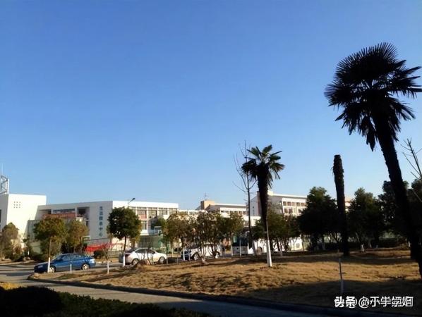 安徽广播影视职业技术学院学校专业专科代码(安徽广播影视职业技术学院学校专业代码)插图1