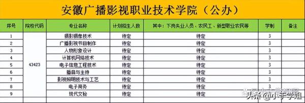 安徽广播影视职业技术学院学校专业专科代码(安徽广播影视职业技术学院学校专业代码)插图6