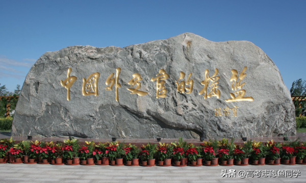 外交学院的研究生好考吗(外交学院分数线)插图1