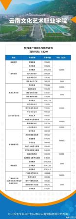 云南最好的公办学校(云南的公办学校)插图4