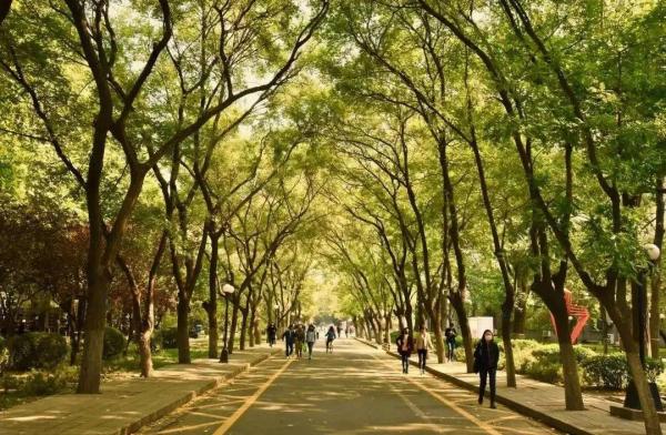 北京工业大学工科排名(北京工业大学大学a类学科)插图11