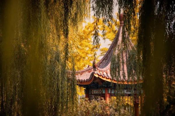 北京工业大学工科排名(北京工业大学大学a类学科)插图12