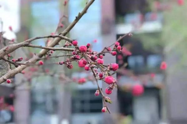 北京工业大学工科排名(北京工业大学大学a类学科)插图13